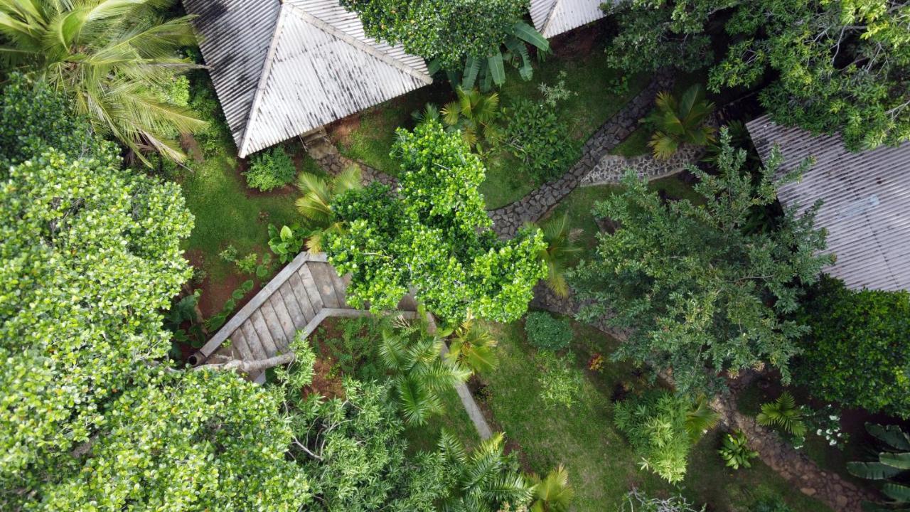 Into The Blue - Yoga Included & Walk To 3 Beaches Tangalle Exterior foto
