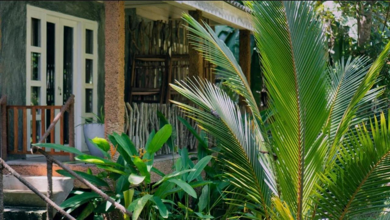 Into The Blue - Yoga Included & Walk To 3 Beaches Tangalle Exterior foto